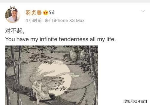 圈内人爆料王嘉尔恋情,甜蜜互动引粉丝热议